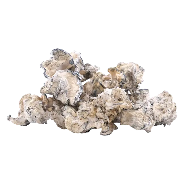 Enigma | Magic Mushrooms | 3.5