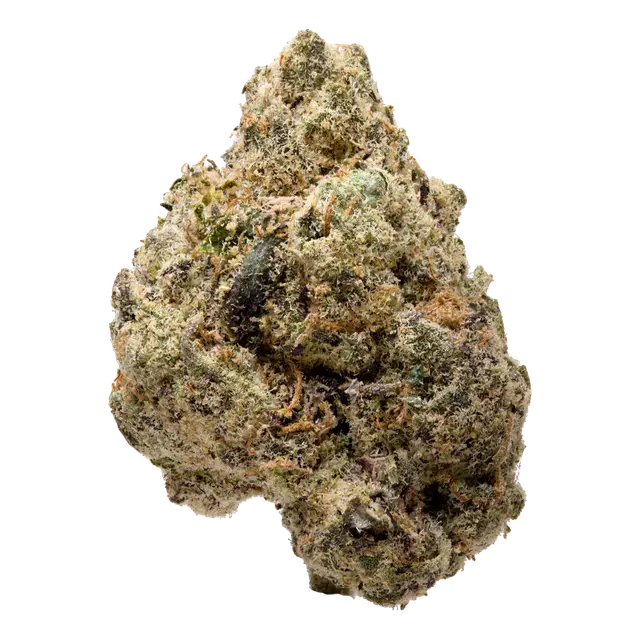 Ztopia | Hybrid | 3.5